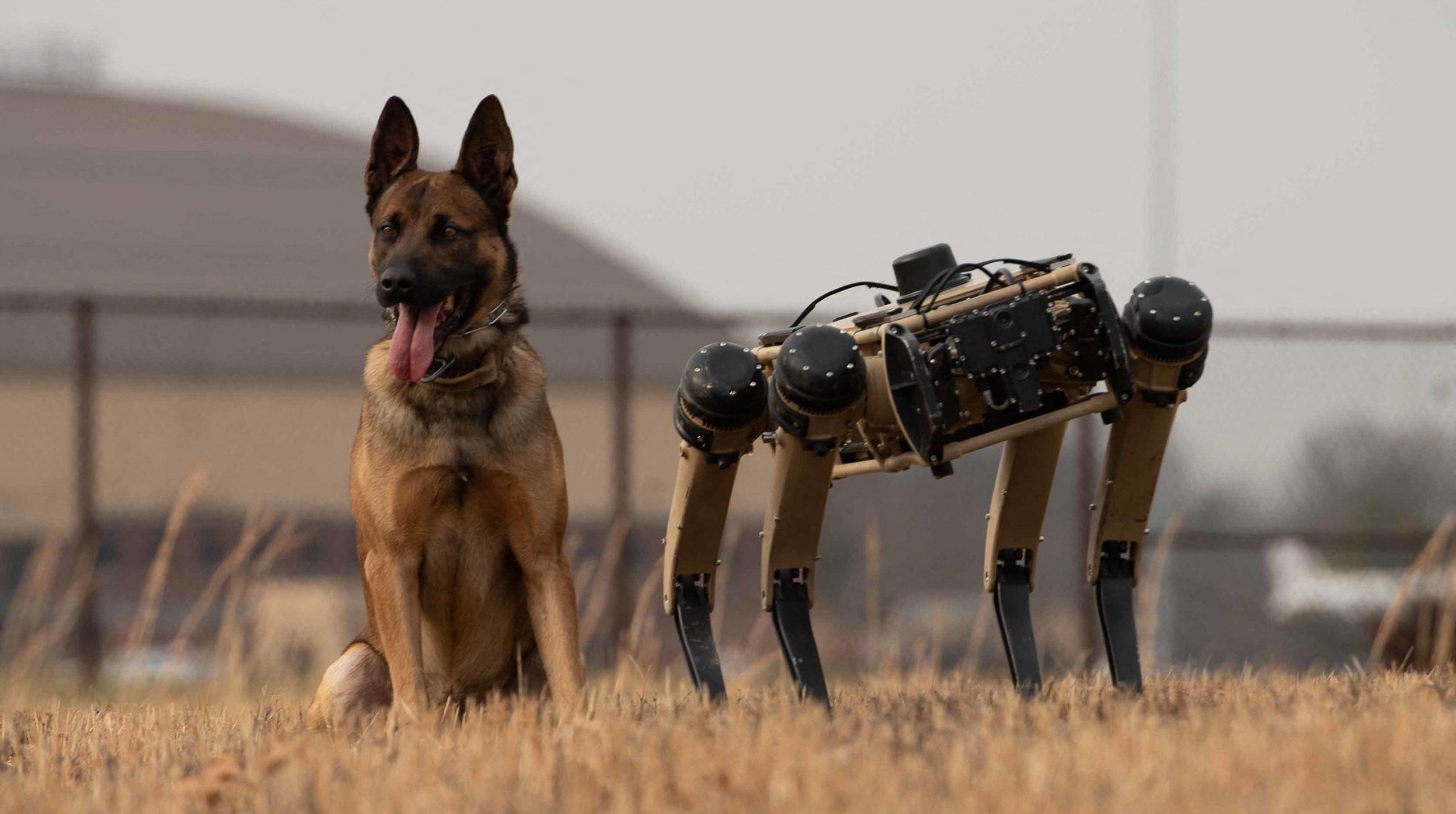 Estados Unidos considera usar perros robots para vigilar frontera con México