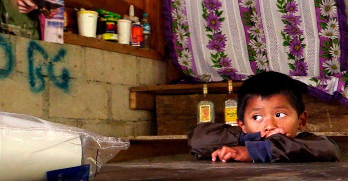 Duermen en el suelo y beben agua contaminada: así trabajan niños indígenas en un rancho