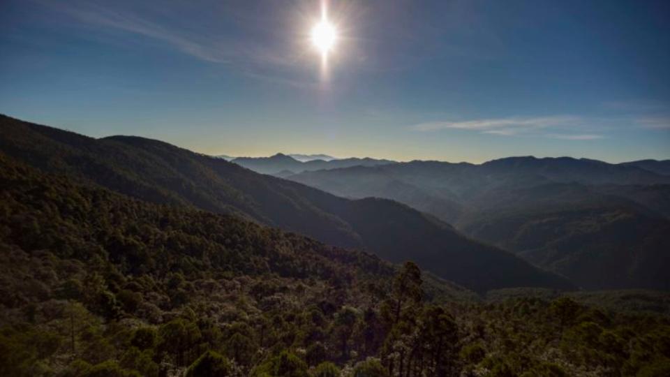 México: la sombra de la minería acecha el futuro de los bosques comunitarios