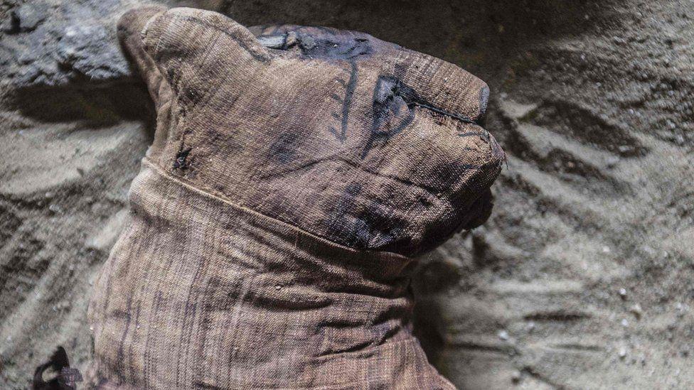 El fascinante hallazgo de los gatos momificados en una tumba de Egipto