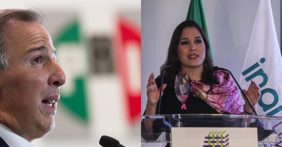 Meade insiste en defender la candidatura de Ximena Puente en el PRI; senadores acusan conflicto  de interés