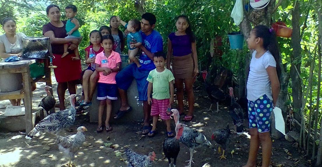 El último desplazamiento forzado en Chiapas que alerta al Congreso Nacional Indígena