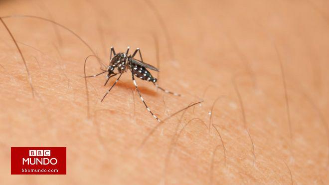 ¿Cuáles son los síntomas del virus zika y qué hacer si lo tienes?