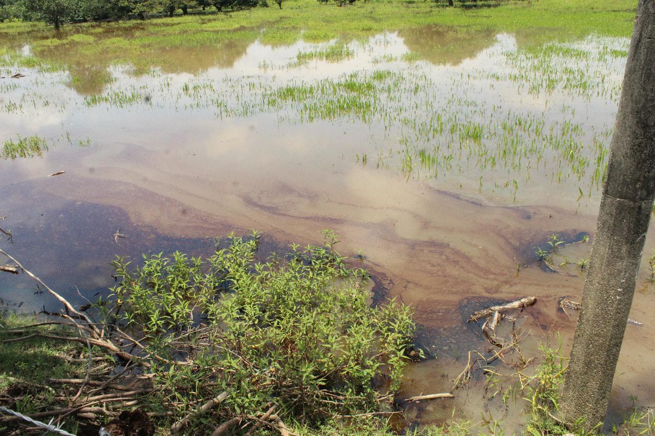Derrame de petróleo en ríos de Tabasco y Chiapas deja a 600 mil personas sin agua; autoridades ya controlaron la fuga