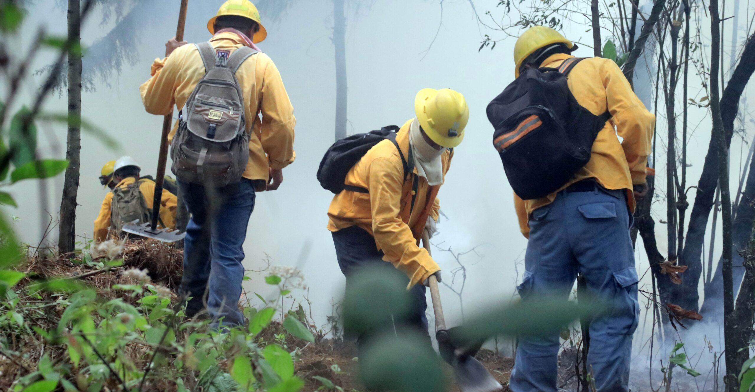 Suspenden clases en Zapopan por incendio en bosque La Primavera; autoridades activan alerta atmosférica