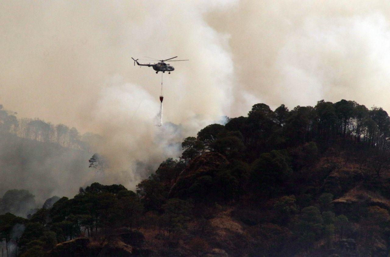 Incendio forestal consume 310 hectáreas de la Sierra del Tepozteco, en Morelos