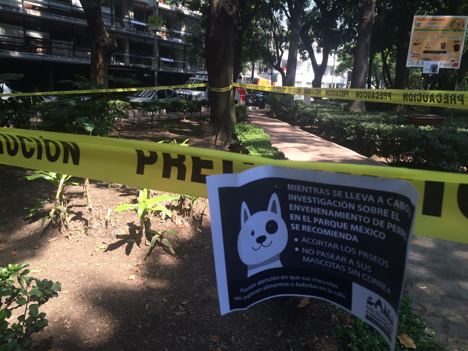 La Cuauhtémoc lanzará un protocolo “para crisis de envenenamiento de animales de compañía”