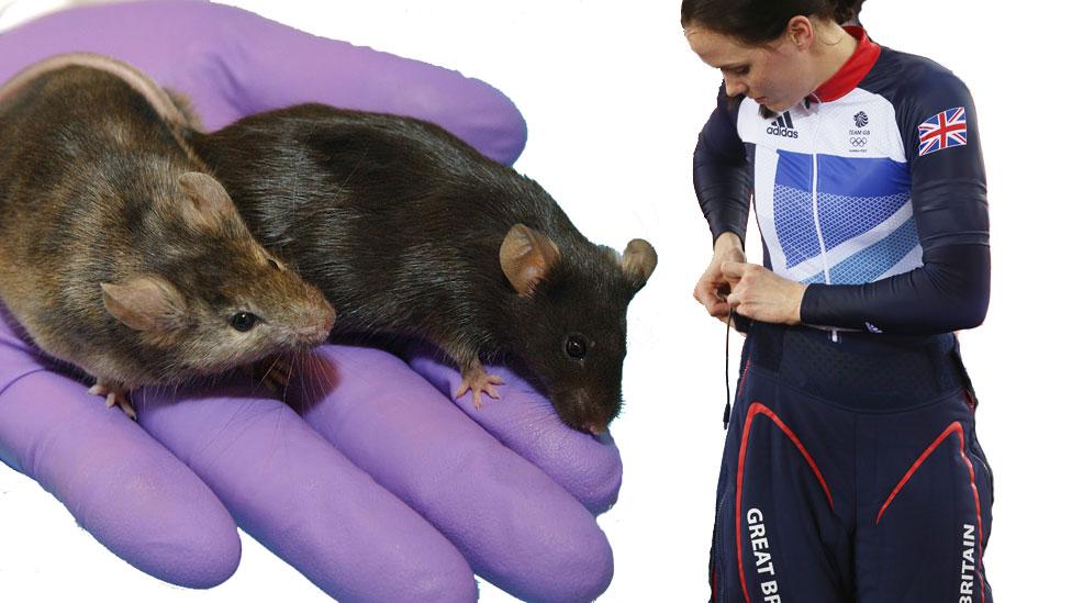 Qué nos dice la extraordinaria experiencia del Nobel de Medicina Mario Capecchi sobre la economía de la innovación