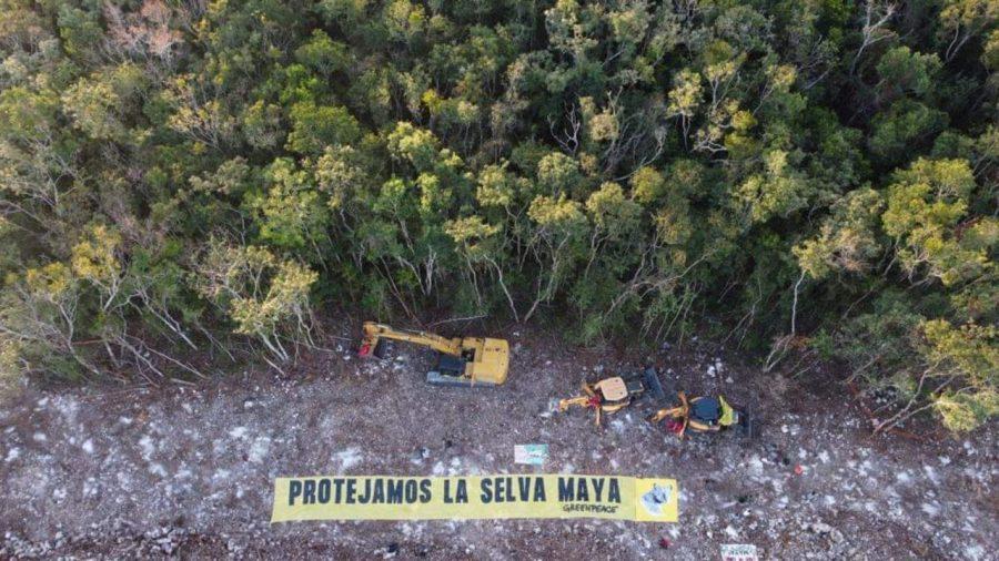 AMLO dijo que se reforestan 200 mil hectáreas por el Tren Maya, pero ni Presidencia ni Fonatur tienen esa información