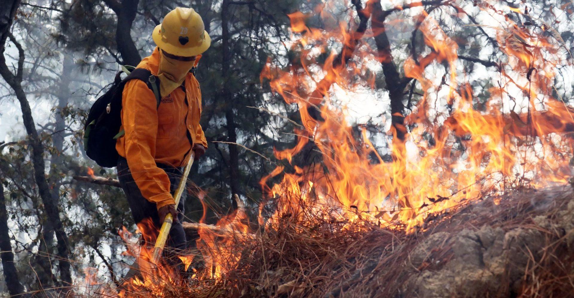 Se reactiva incendio forestal que amenaza casas en Ayutla, Oaxaca