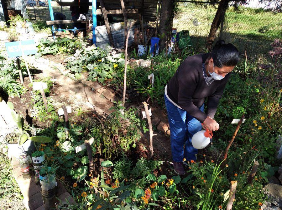 Agroecología en Jalisco: proteger la tierra y apoyar el trabajo de mujeres rurales