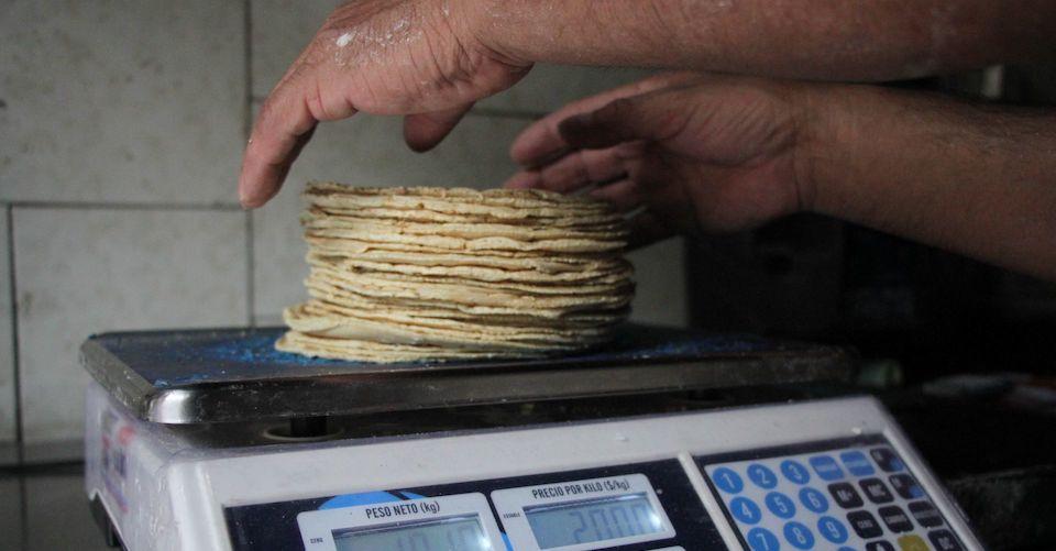 Gobierno responsabiliza a Maseca por alza en el precio de la tortilla