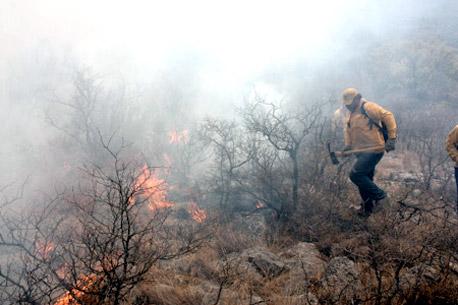 Incendio forestal en Arizona obliga a evacuar a ciudadanos