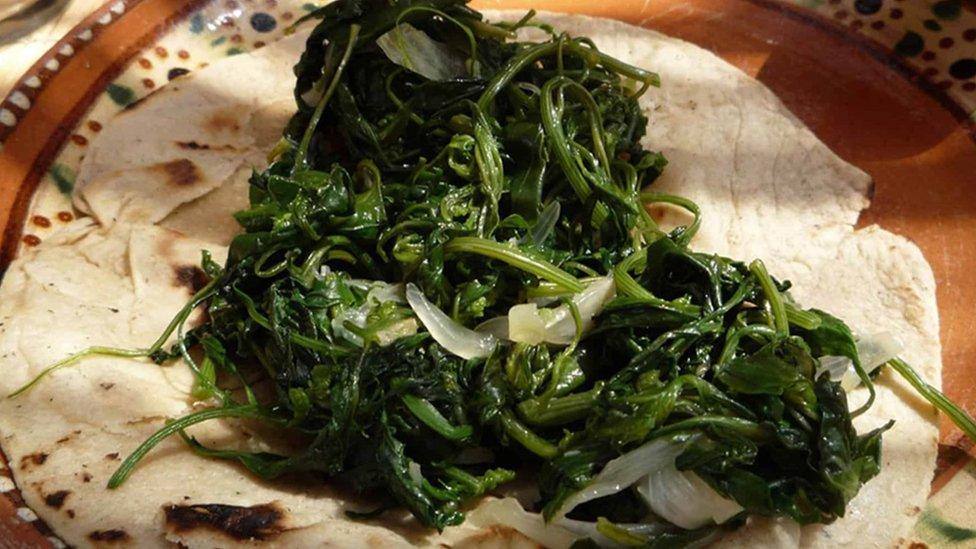 Quelites: los grandes beneficios alimenticios de estas plantas mexicanas (y por qué aún no se sabe si combaten la gastritis)