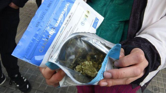 Quién puede comprar mariguana en Uruguay y otras 3 preguntas sobre su venta en farmacias