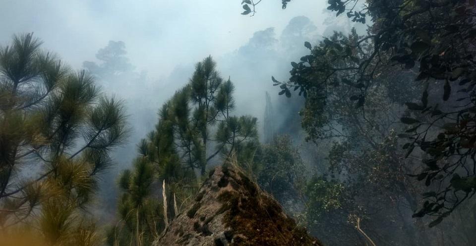 82 incendios forestales en 21 estados, reporta Conafor; Oaxaca, Guerrero y Jalisco, estados con más casos
