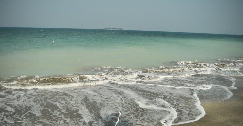 Limpias y azul turquesa: así se ven las playas de Veracruz por ausencia de turistas