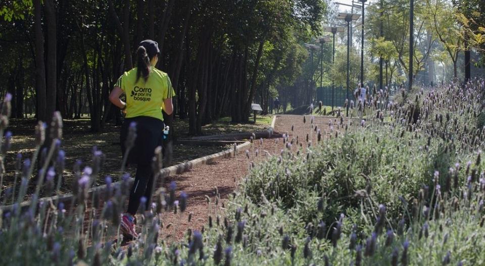 ¿Quieres ir a correr? Reabrirán Bosques de Chapultepec, Tlalpan y Aragón, con reglas de ‘nueva normalidad’