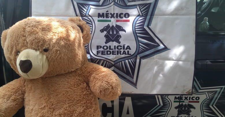 Hallan 200 mil pesos ocultos en oso de peluche que sería enviado de Guadalajara a CDMX