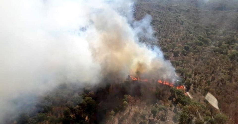 Bosque La Primavera, en Jalisco, registra dos incendios en menos de una semana