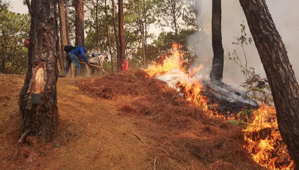 Reportan incendio en Cerro de la Cruz, Uruapan, Michoacán