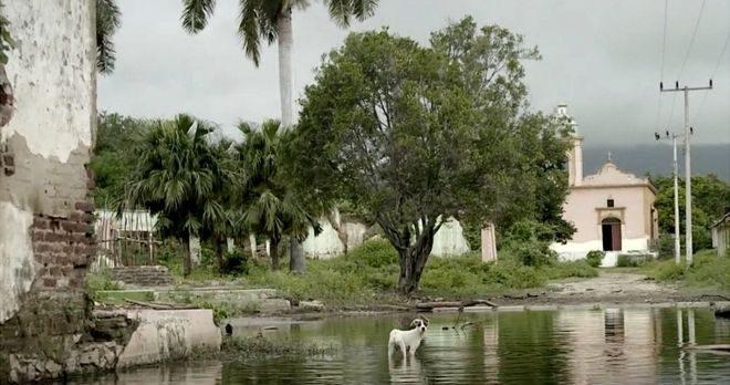 San Marcos, el pueblo de Sinaloa que vive bajo el agua (cuyos habitantes se niegan a abandonar)