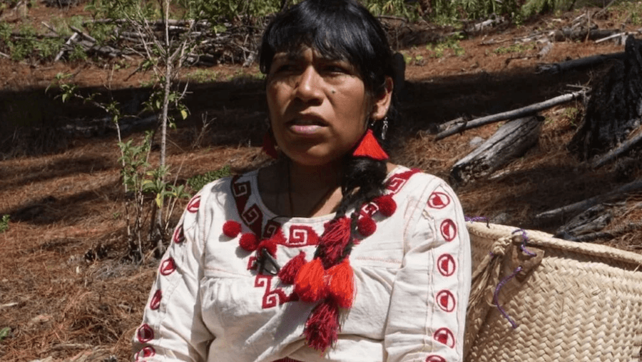 ONU emite acción urgente por 5 desaparecidos en Oaxaca entre los que se encuentra la activista Irma Galindo