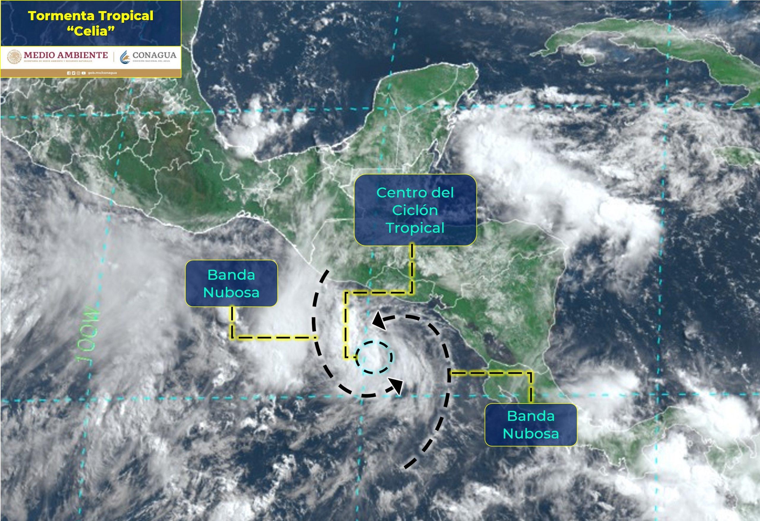 Huracán ‘Blas’ se aleja, pero se forma ‘Celia’, nueva tormenta tropical que alerta a 6 estados