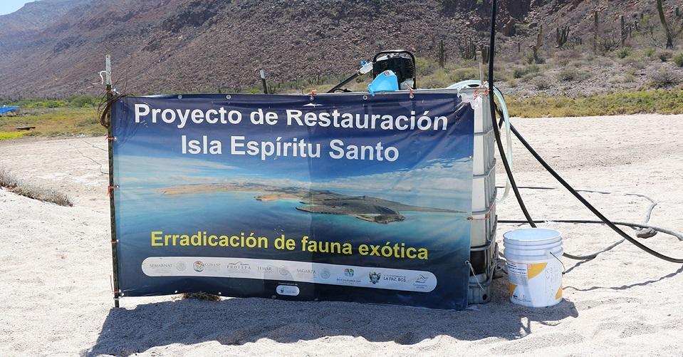 Senado exige al INAH rendir cuentas sobre daño a zona arqueológica de la Isla Espíritu Santo