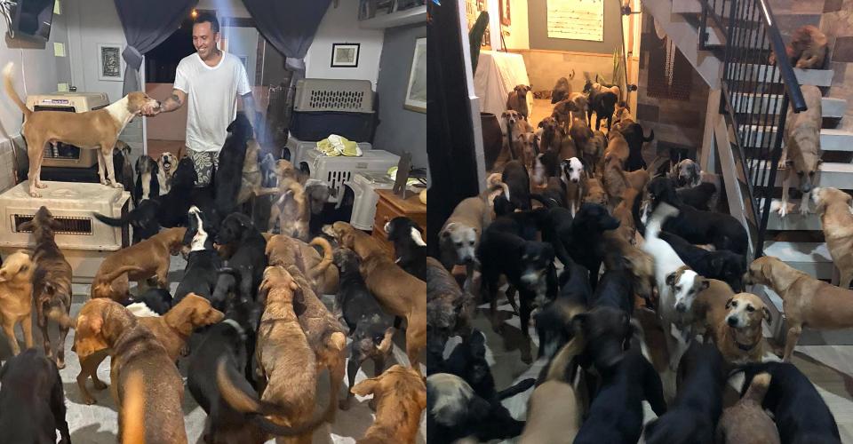 Ricardo, el rescatista que protegió a más de 300 animales del huracán Delta, pide ayuda para alimentarlos