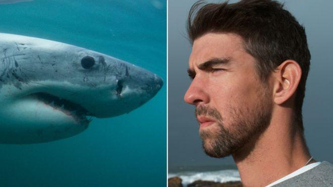 La carrera que perdió Michael Phelps contra un tiburón blanco
