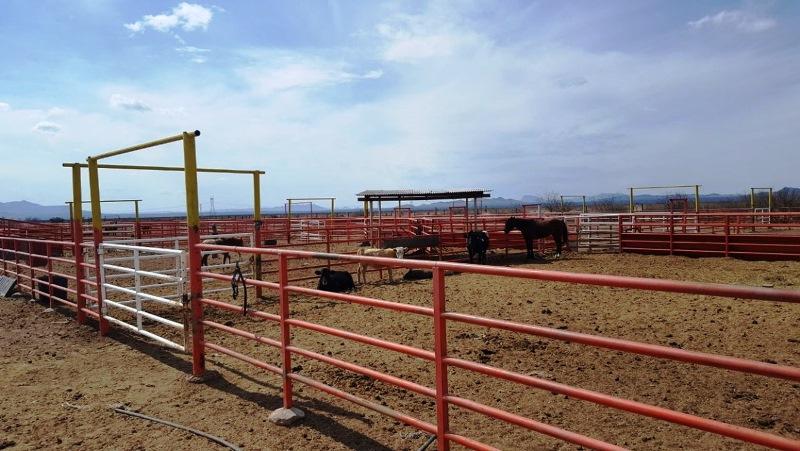 Fiscalía de Chihuahua asegura un rancho de 30 mil hectáreas del exgobernador César Duarte