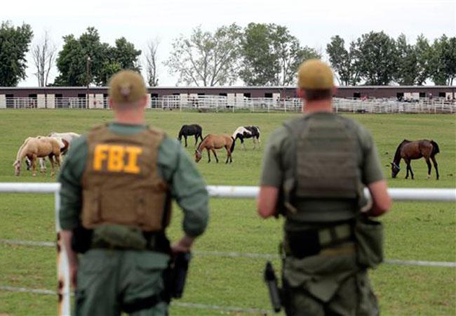 Forzaron a Colorado a vender caballos a zetas: abogado