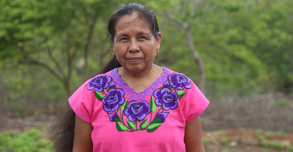 Rebeldía ante el despojo: ella es Marichuy, la mujer indígena que va por la presidencia en 2018