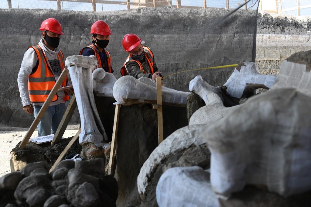 Cementerio de mamuts: así se ven los restos hallados en las obras de Santa Lucía