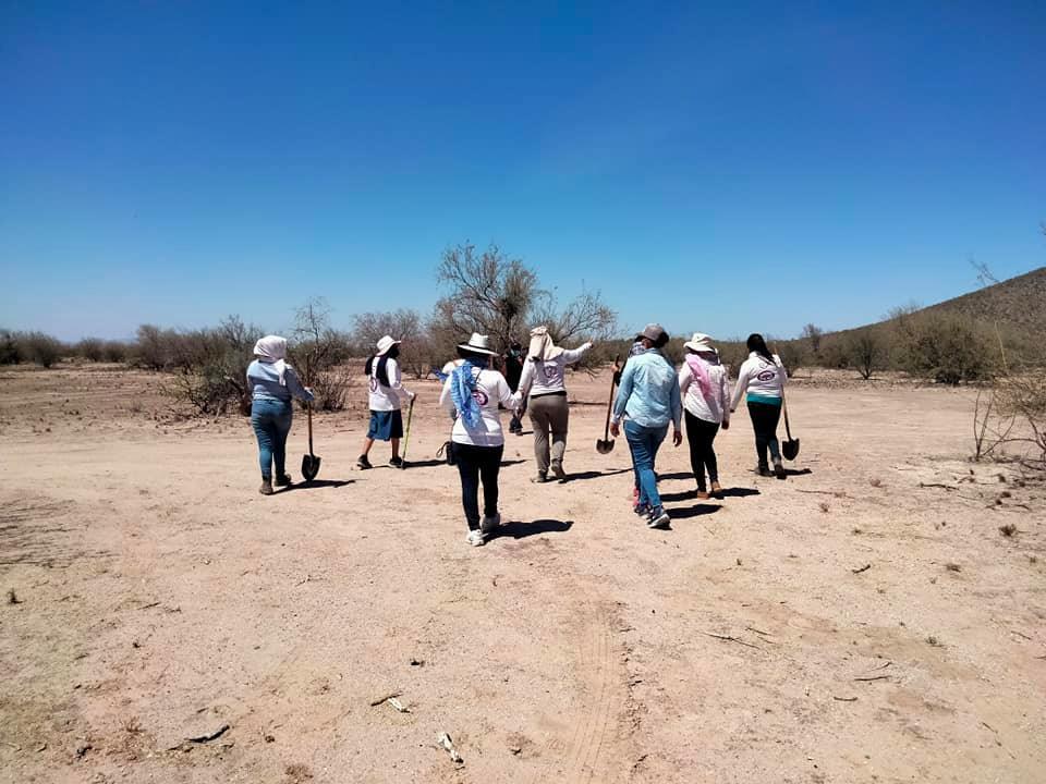 Colectivo encuentra pozo con restos humanos ardiendo en Guaymas, Sonora