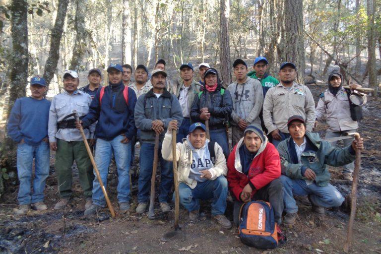 Comunidades forestales de México: 4 claves para entender su lucha por una “justicia fiscal”