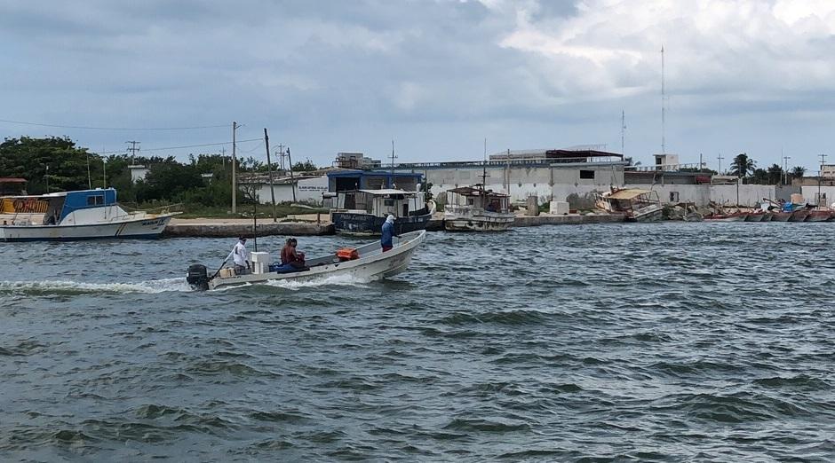 Conflicto por el pepino de mar golpea a la pesca en el poblado de San Felipe, Yucatán