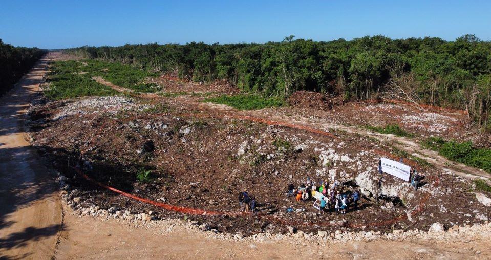 3.4 millones de árboles han sido talados o removidos por las obras del Tren Maya, reconoce el gobierno