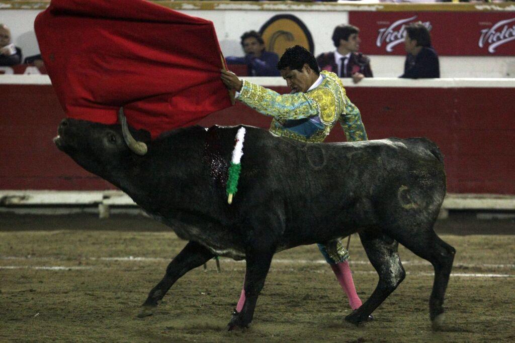 Juez suspende corridas de toros en Feria de Puebla; empresa pide amparo para realizarlas