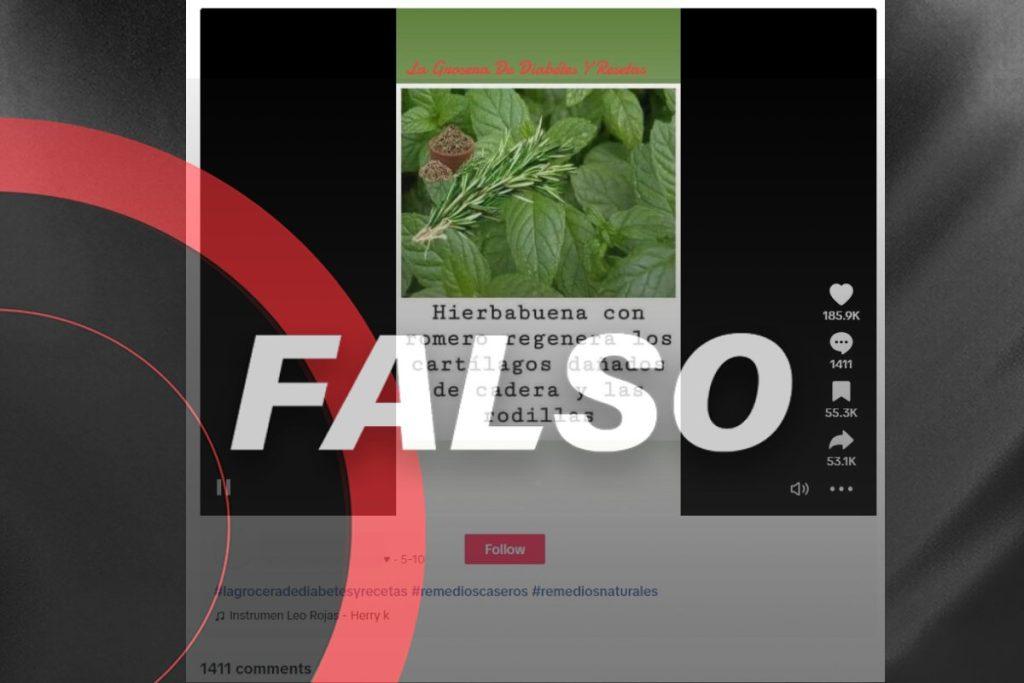 El romero y la hierbabuena no pueden regenerar el cartílago de las rodillas