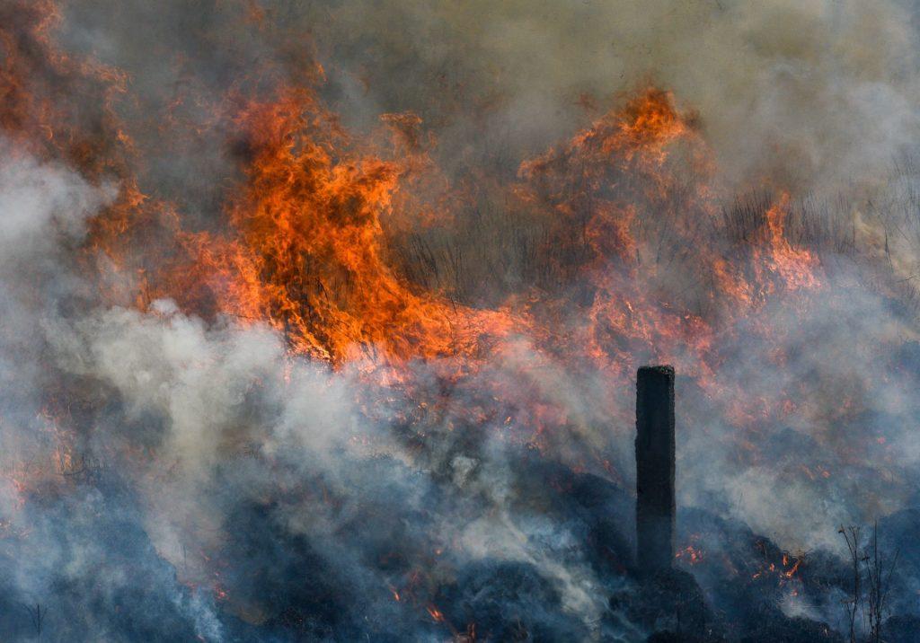 Cambio climático y negligencia: posibles factores que contribuyeron a los incendios forestales de Hawái