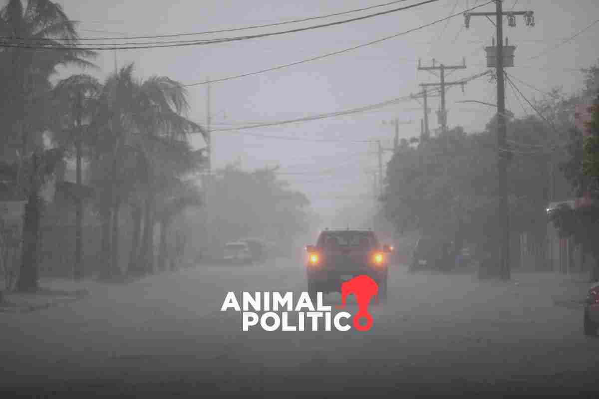 Huracán Norma provoca cierre de dos aeropuertos, suspensión de al menos 50 vuelos y árboles caídos en Los Cabos y La Paz