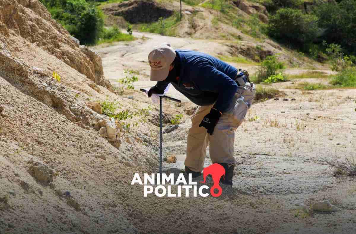 Estados destinan 5 mil 925 pesos anuales en promedio por la búsqueda de cada persona desaparecida