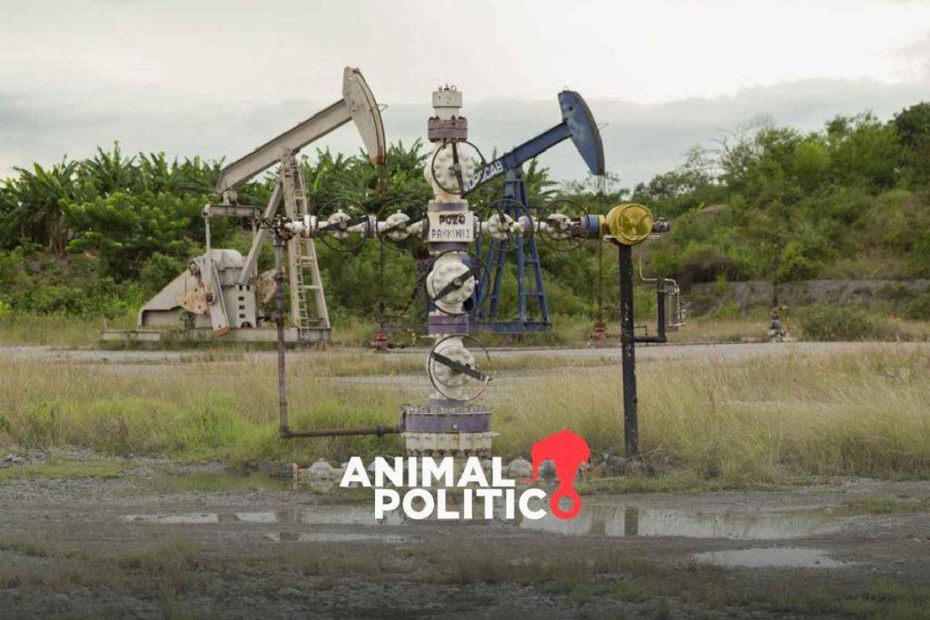 Más de 38 mil parcelas de Sembrando Vida en riesgo por fracking; Veracruz e Hidalgo más afectados