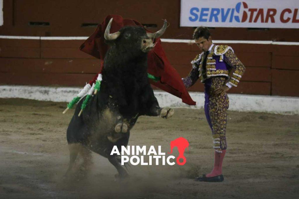 Corte autoriza reanudar las corridas de toros en CDMX; desecha amparo que impedía la tauromaquia