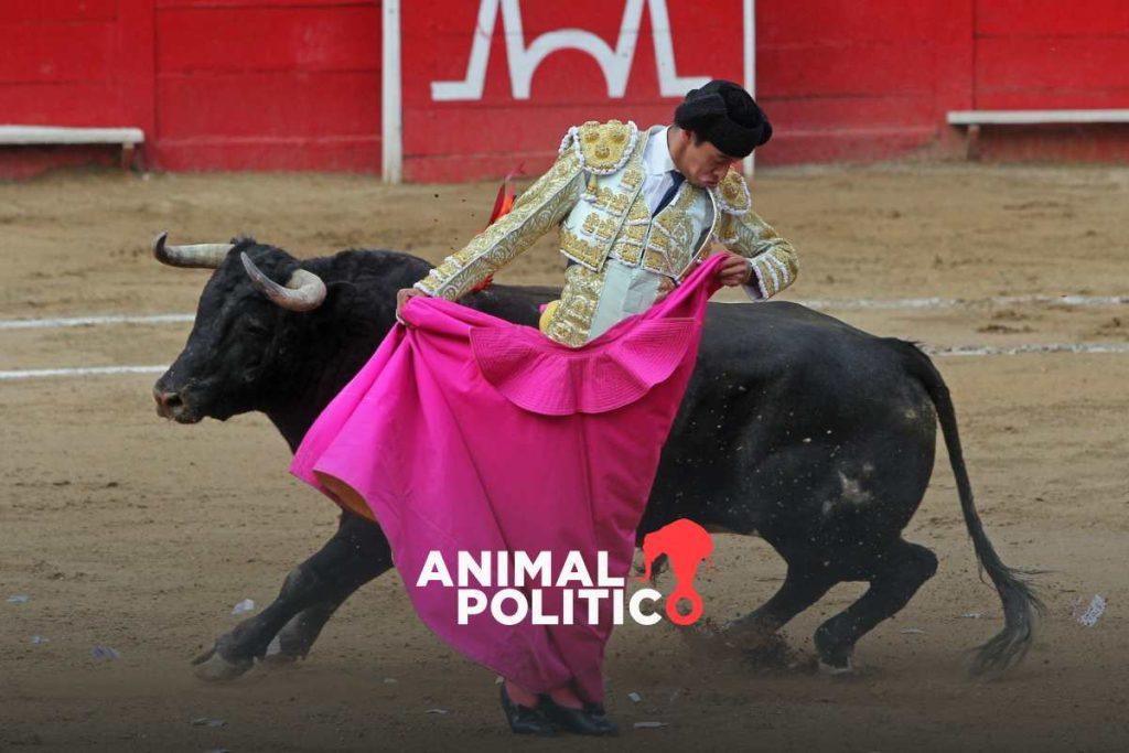 Juez federal frena de forma indefinida corridas de toros en Guadalajara, Jalisco