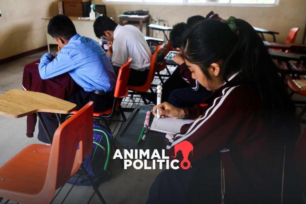 México retrocede en matemáticas, lectura y ciencias en prueba PISA 2022