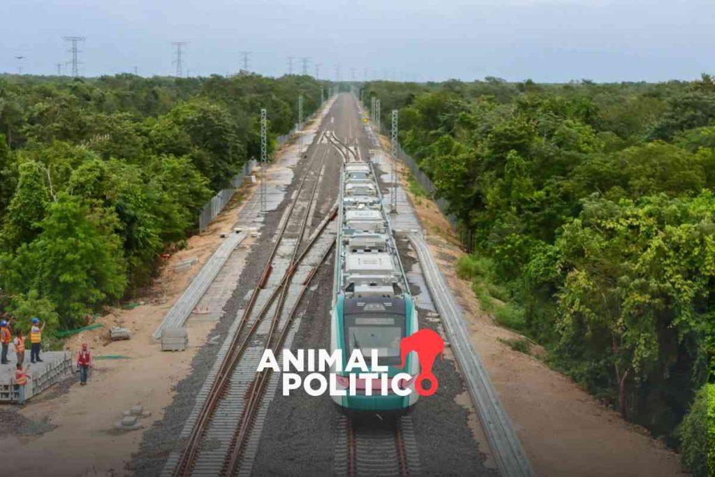Tren Maya arranca solo en un tramo, con sobrecosto y críticas por daño ambiental
