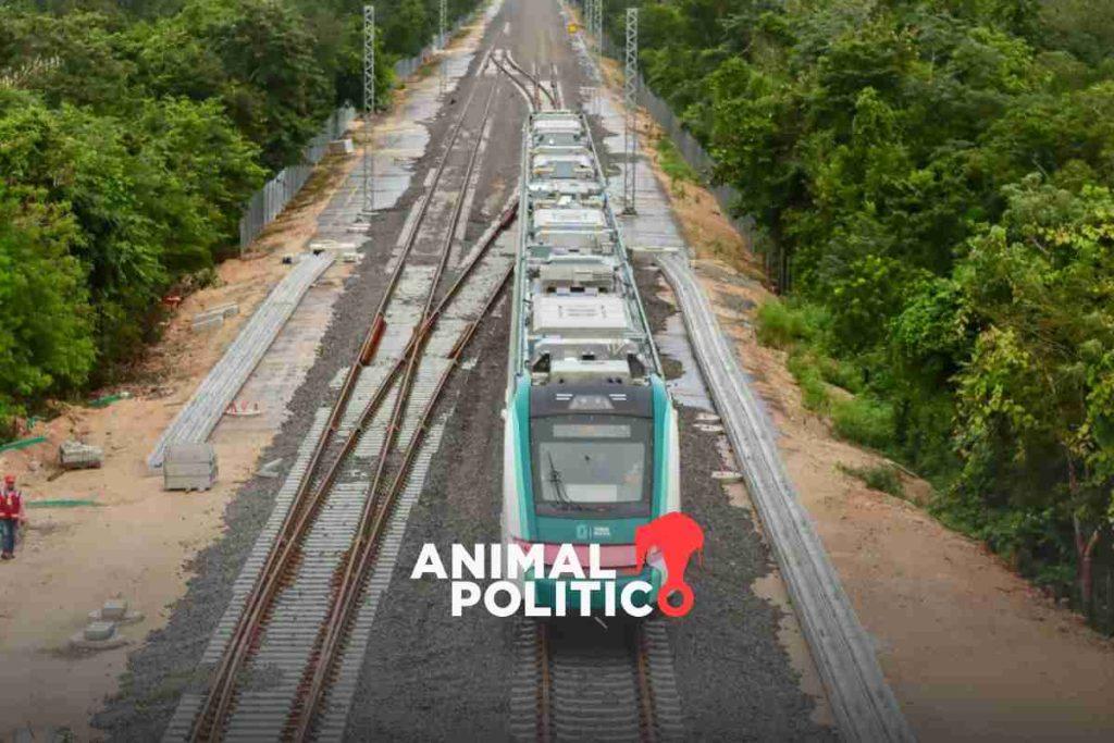 Gobierno de AMLO expropia 22 hectáreas más en Campeche y Mérida para el Tren Maya